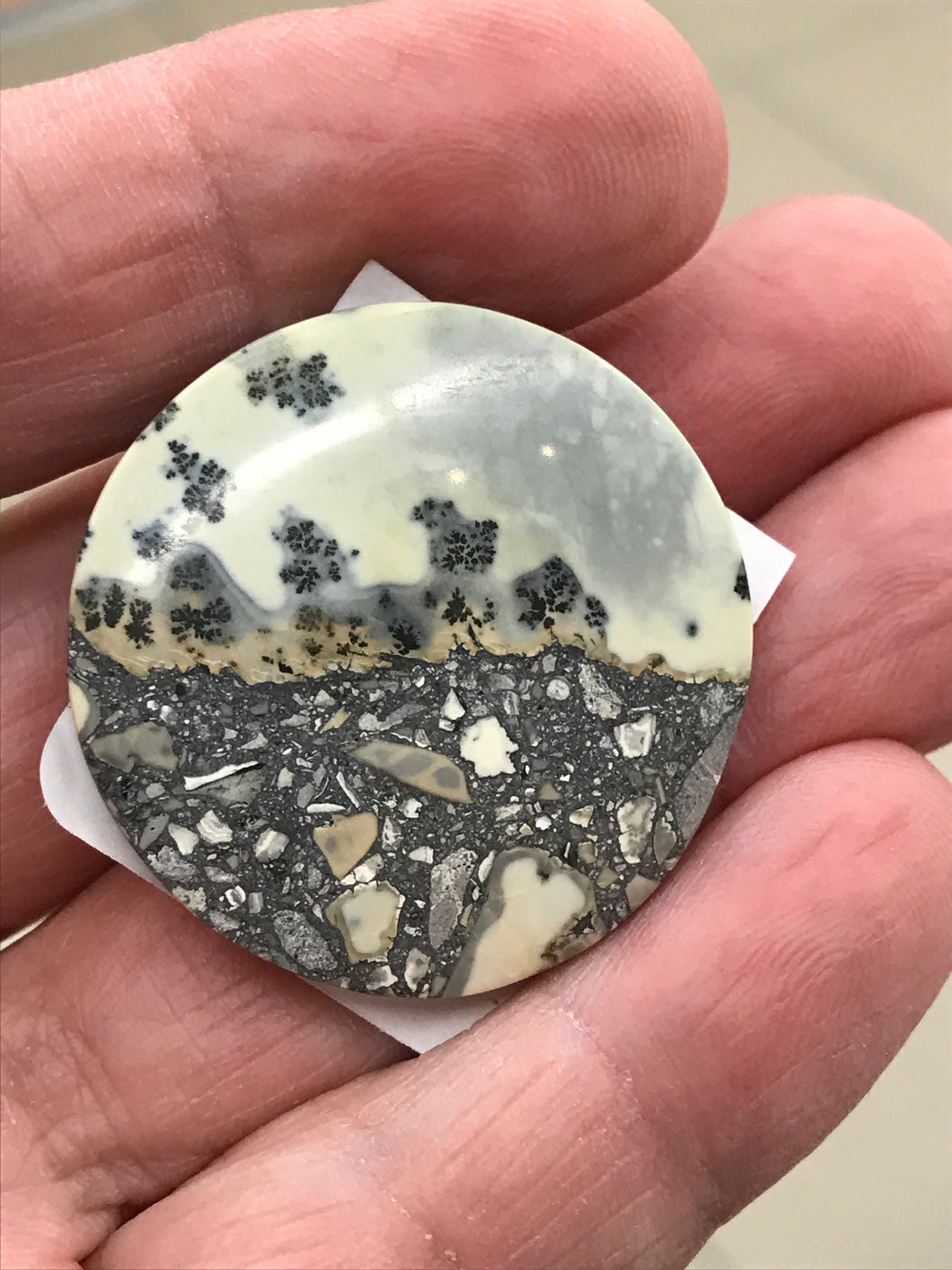 MALIGANO JASPER ROUND CABOCHON
