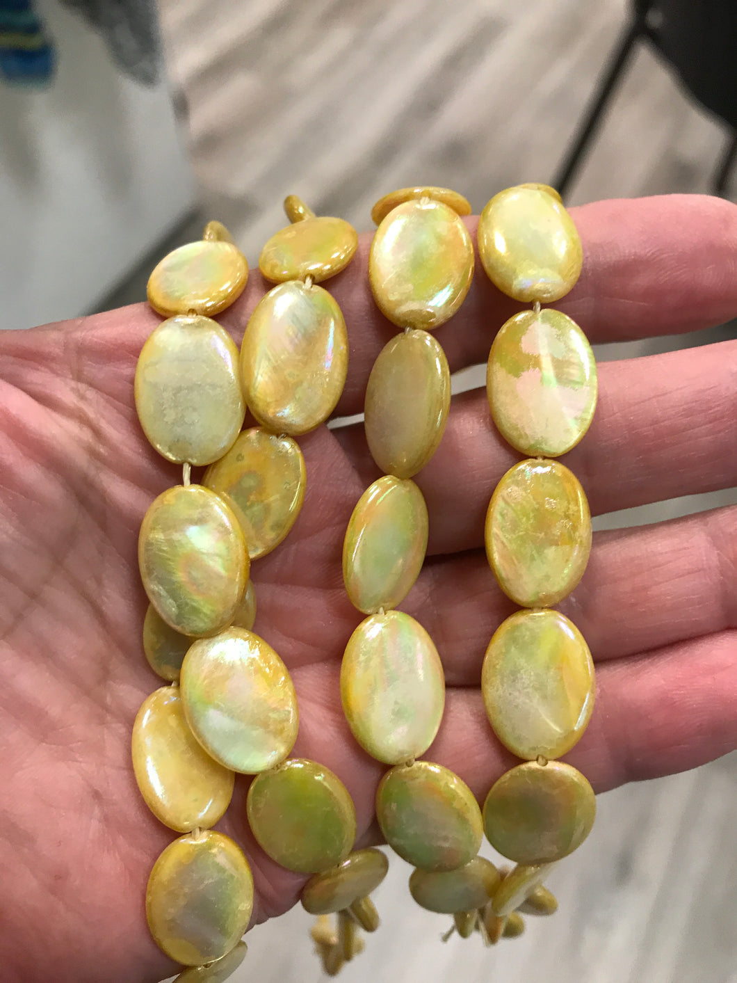 FRESHWATER SHELL OVAL