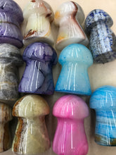 Load image into Gallery viewer, GEMSTONE MUSHROOMS
