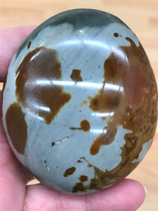 POLYCHROME JASPER PALM STONE