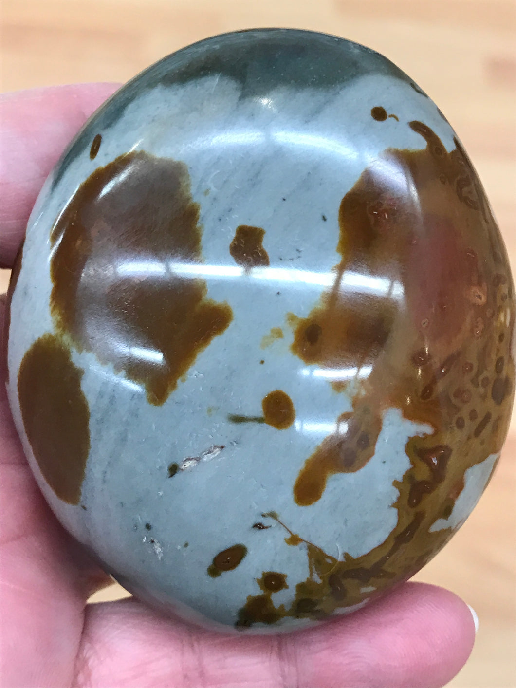 POLYCHROME JASPER PALM STONE