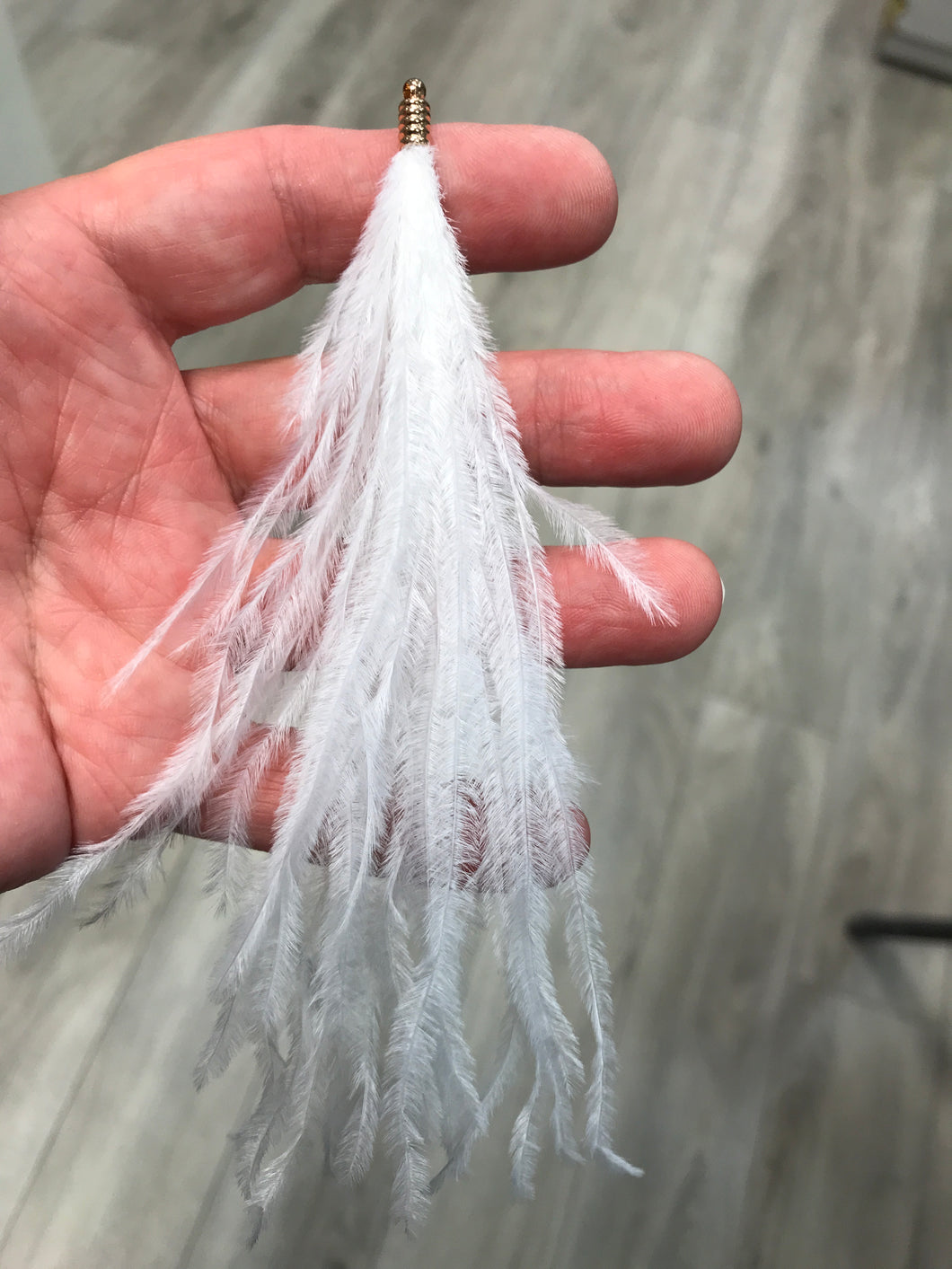 FEATHER OSTRICH