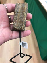 Load image into Gallery viewer, TIGER EYE PIN STAND

