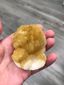 ZEOLITE CRITTER
